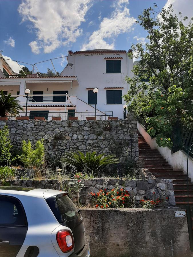 Arcomagno Guest House San Nicola Arcella Extérieur photo